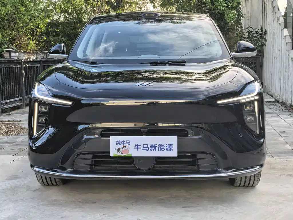IM Motors LS6 2026 66 Max