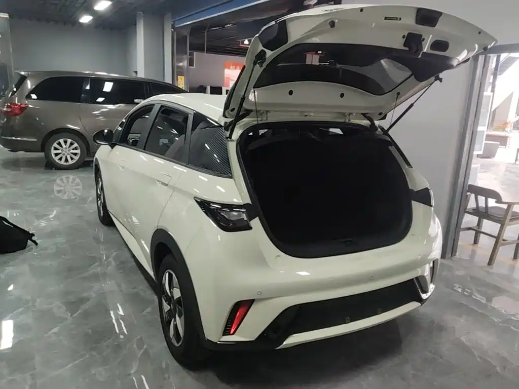 BYD Dolphin — миниатюра 19