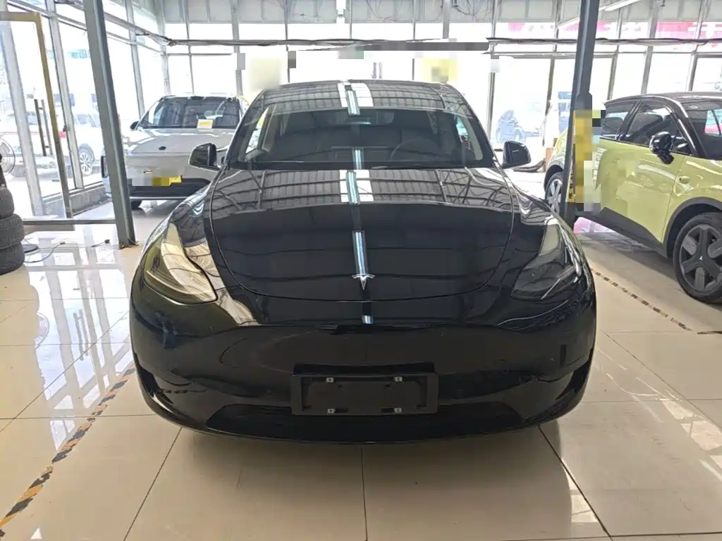 Tesla Model Y — миниатюра 3