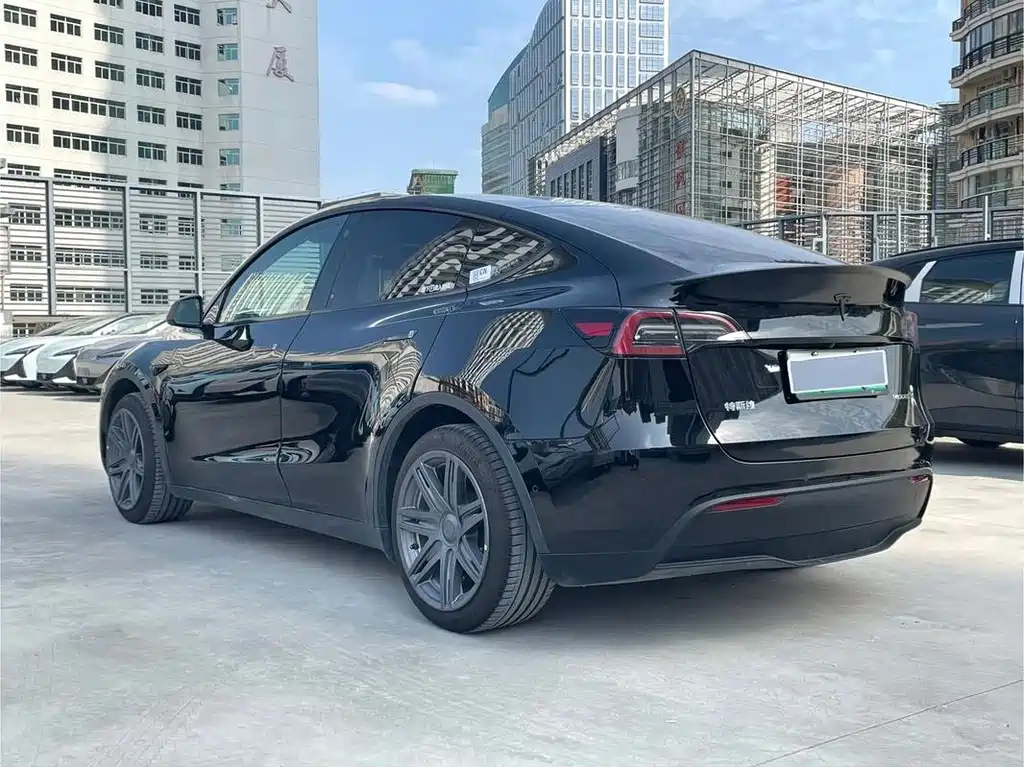 Tesla Model Y — миниатюра 9
