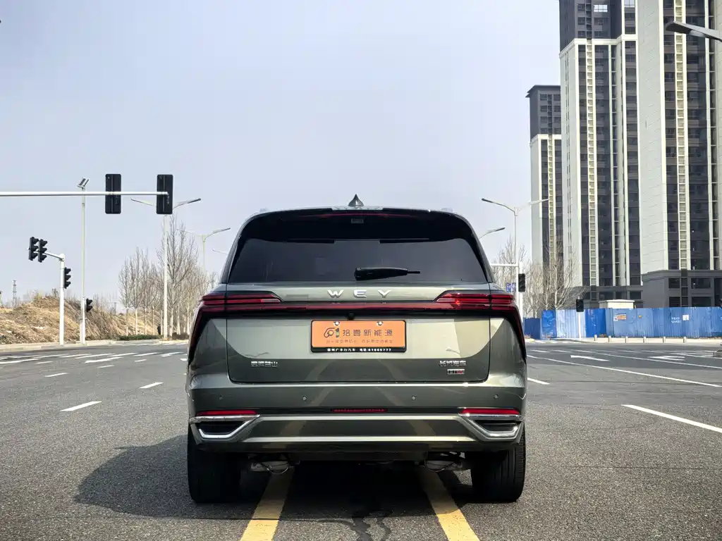 WEI PAI WEI BRAND BLUE MOUNTAIN