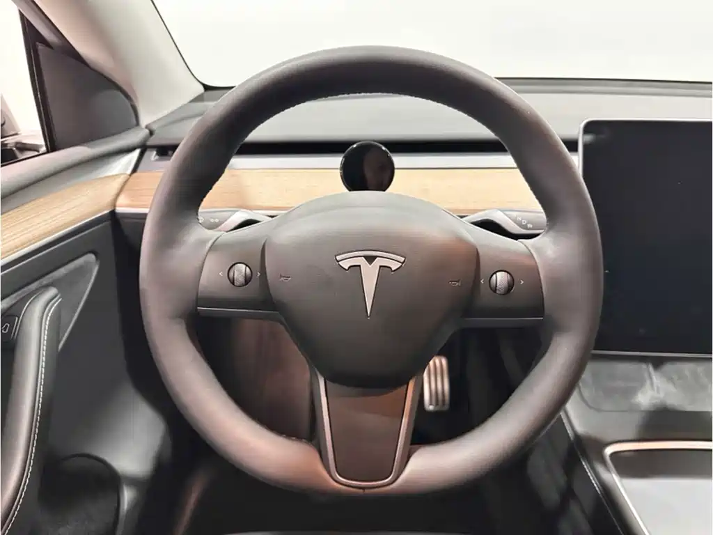 Tesla Model Y — миниатюра 7