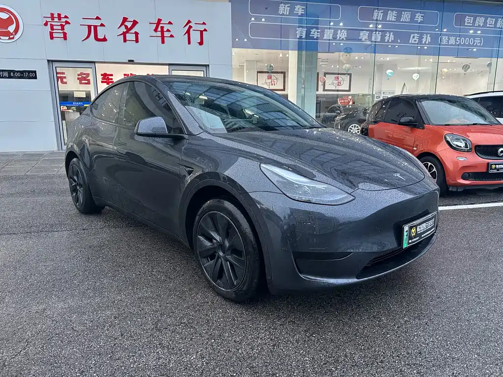 Tesla Model Y — миниатюра 3