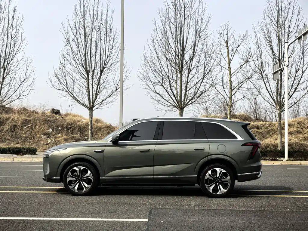 WEI PAI WEI BRAND BLUE MOUNTAIN