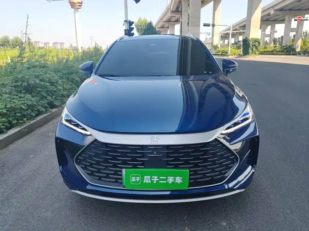 BYD Tang New Energy — миниатюра 3