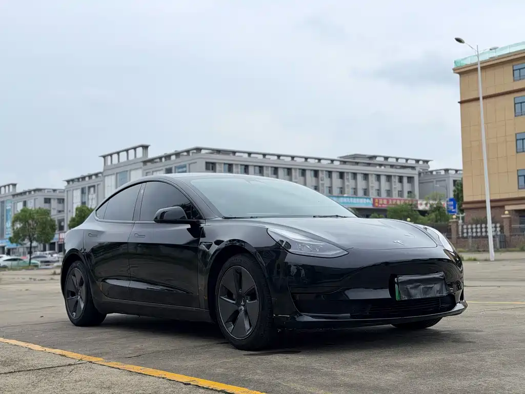 Tesla Model 3 — миниатюра 3