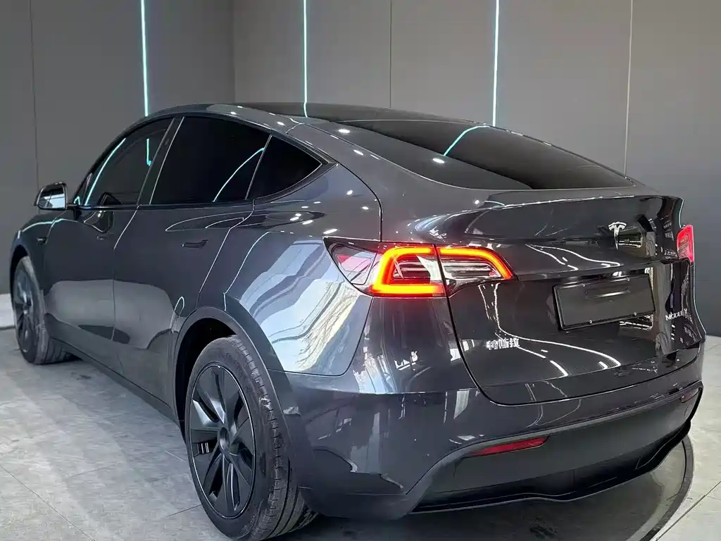 Tesla Model Y — миниатюра 8