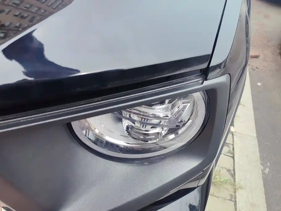 Haval Big Dog PLUS — миниатюра 5