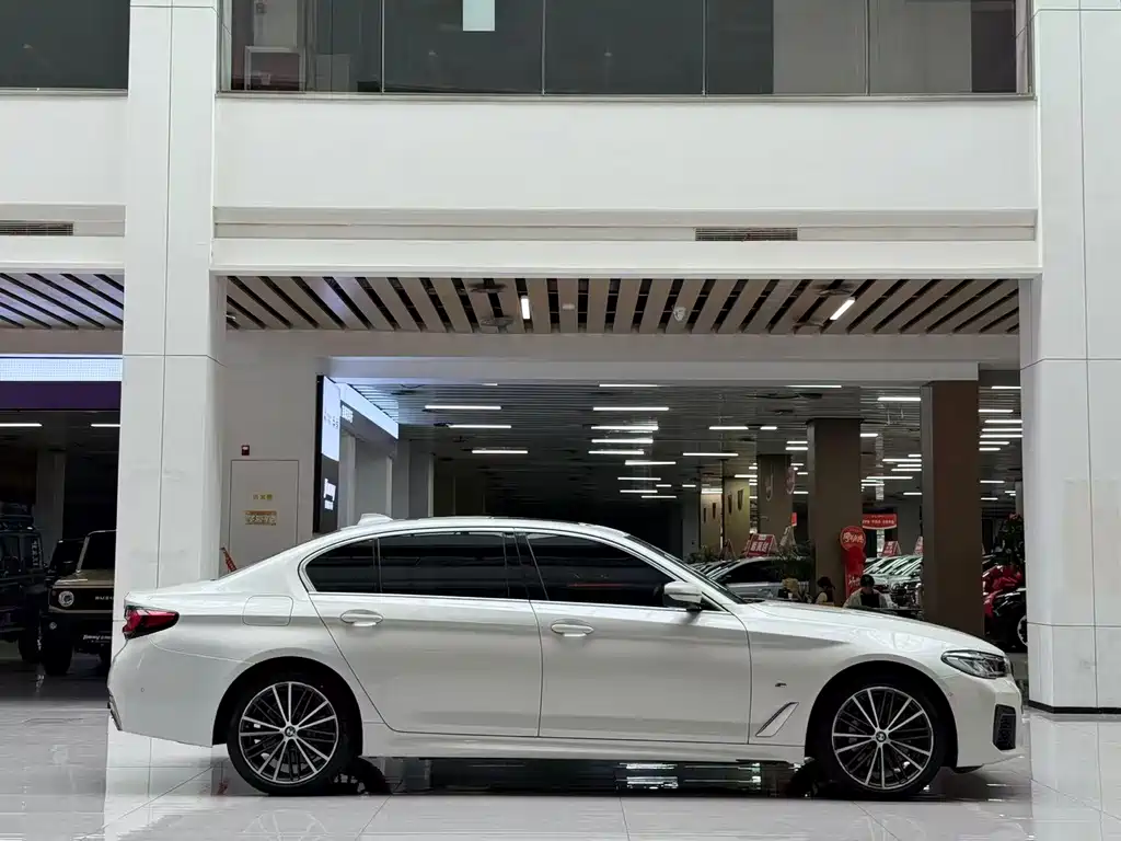BMW 5 Series — миниатюра 4