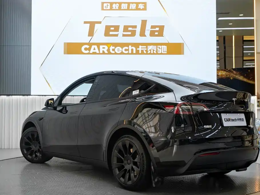 Tesla Model Y — миниатюра 5