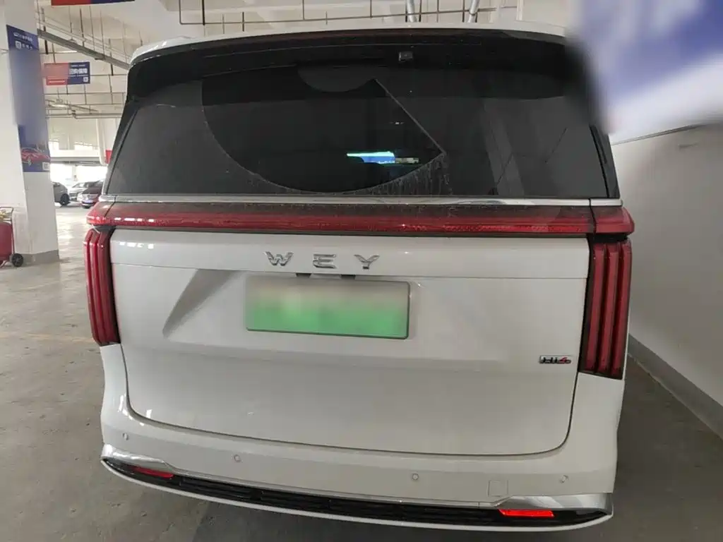Wey Wey Gaoshan — миниатюра 6