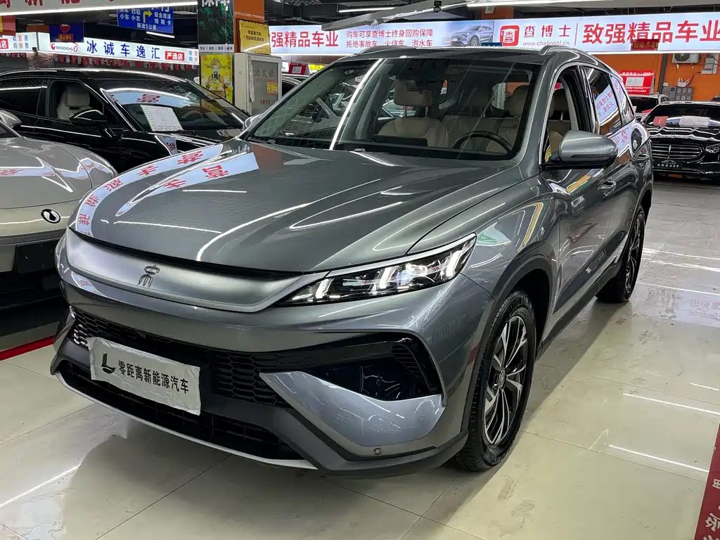 BYD Pro New Energy - фото 2