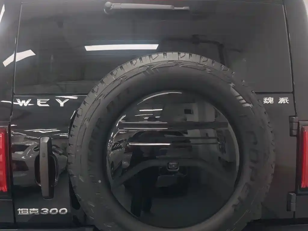 Tank Tank 300 — миниатюра 9