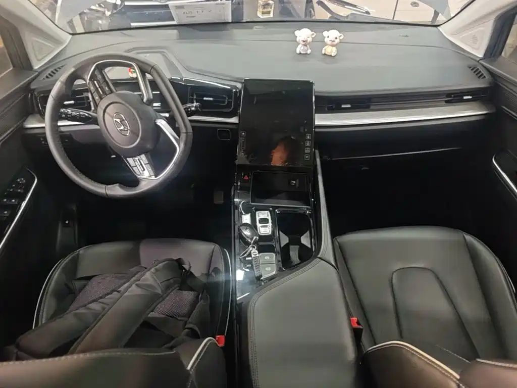 Hyundai Custo — миниатюра 10