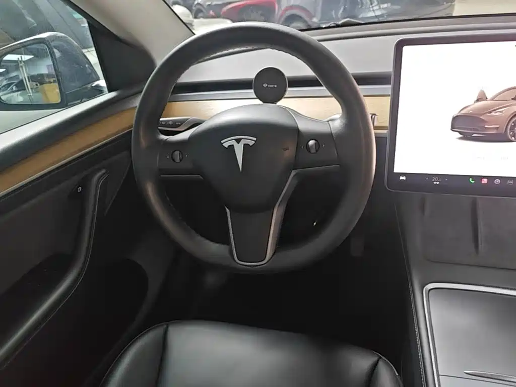 Tesla Model Y — миниатюра 11