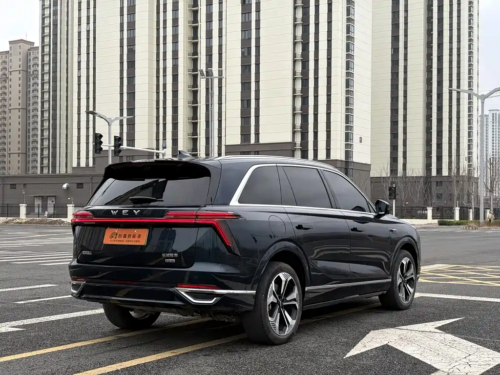 WEI PAI WEI BRAND BLUE MOUNTAIN