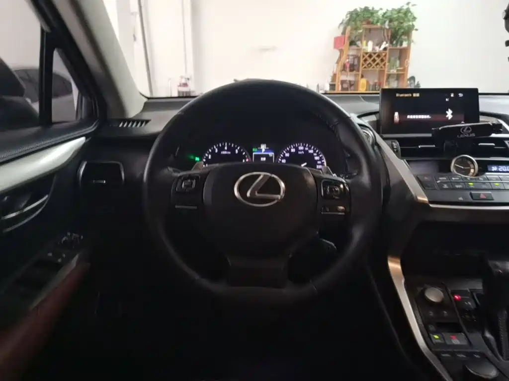 Lexus NX — миниатюра 11