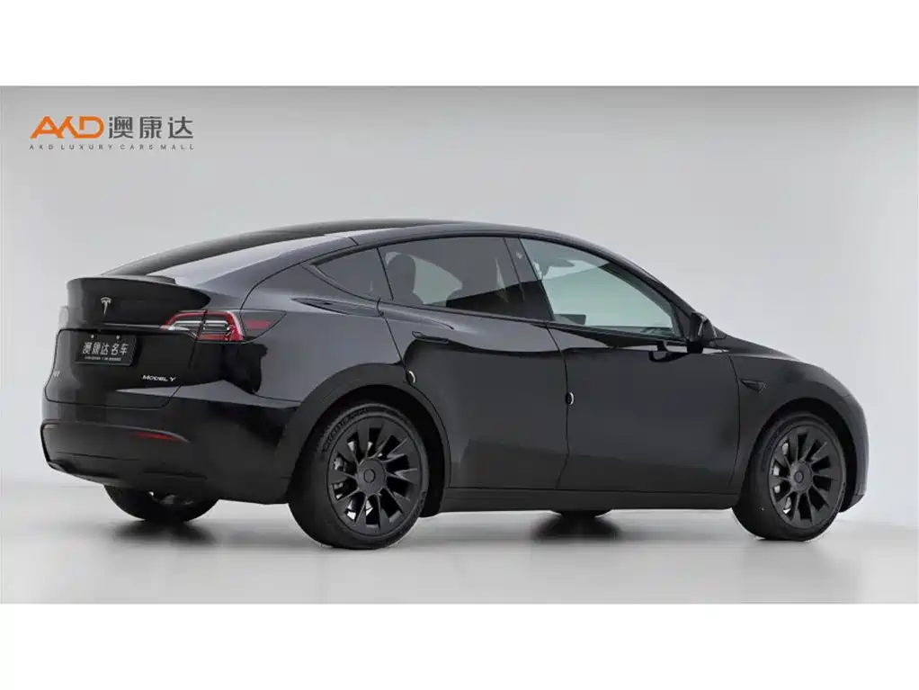 Tesla Model Y — миниатюра 3