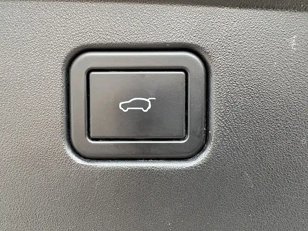 WEI PAI WEI BRAND BLUE MOUNTAIN