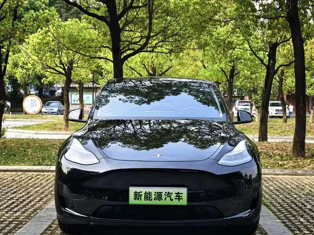 Tesla Model Y — миниатюра 3