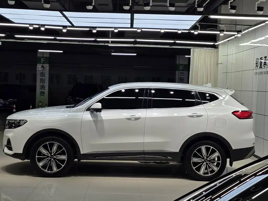 Haval H6 — миниатюра 8