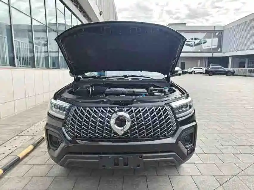 Great Wall Pao — миниатюра 9