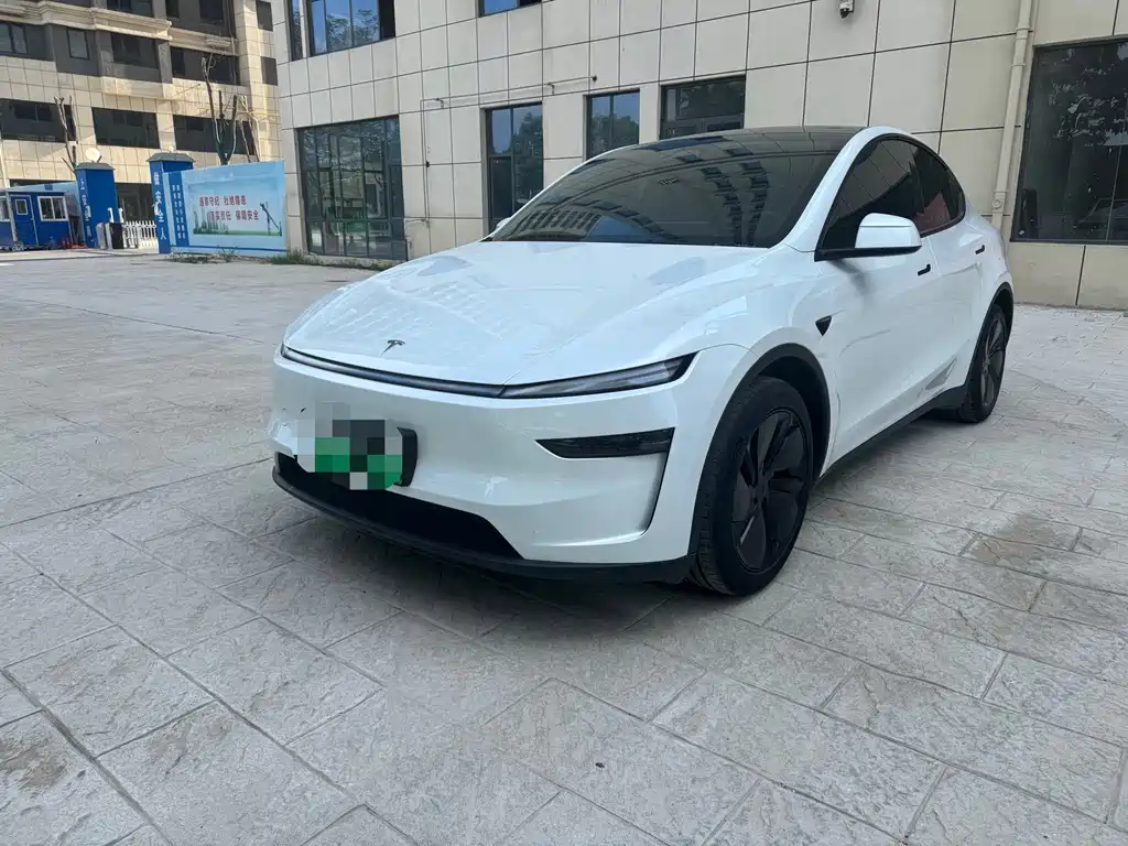 Tesla Model Y — миниатюра 3