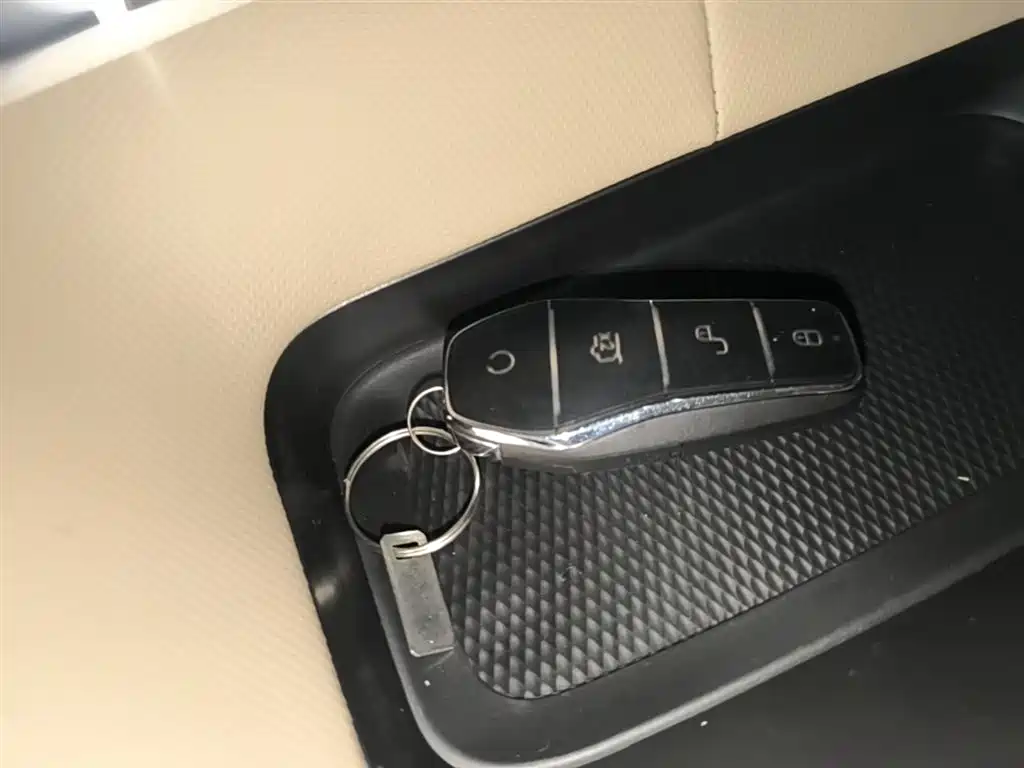 BYD Dolphin 2025 420km Freedom