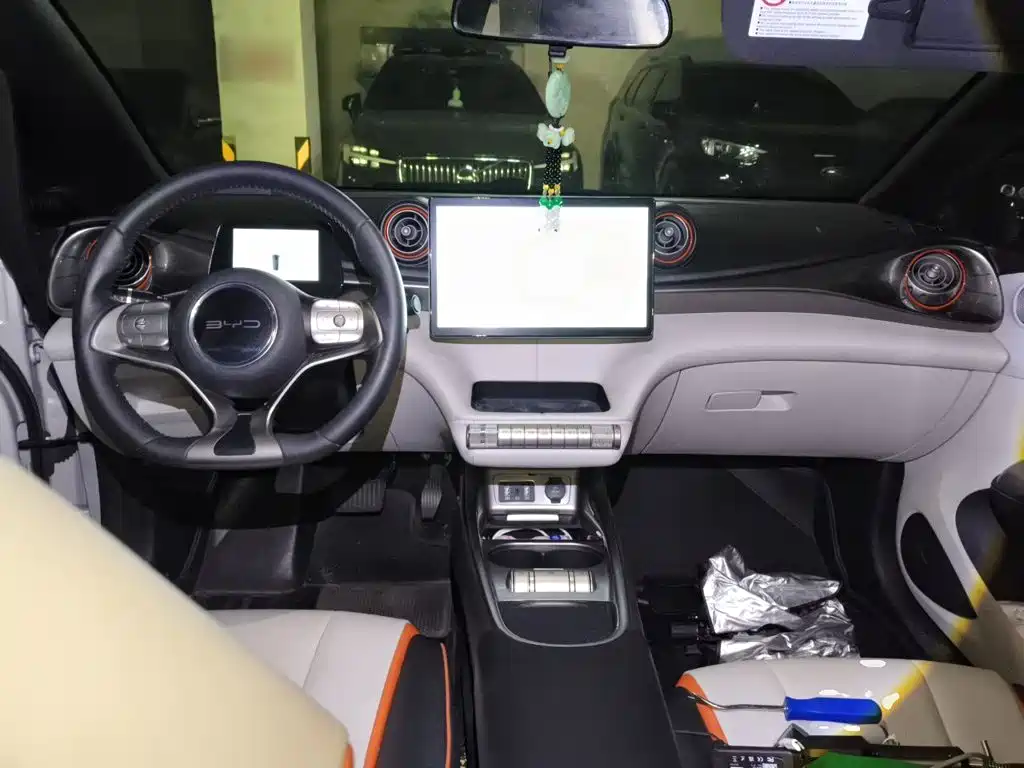 BYD Dolphin - фото 10