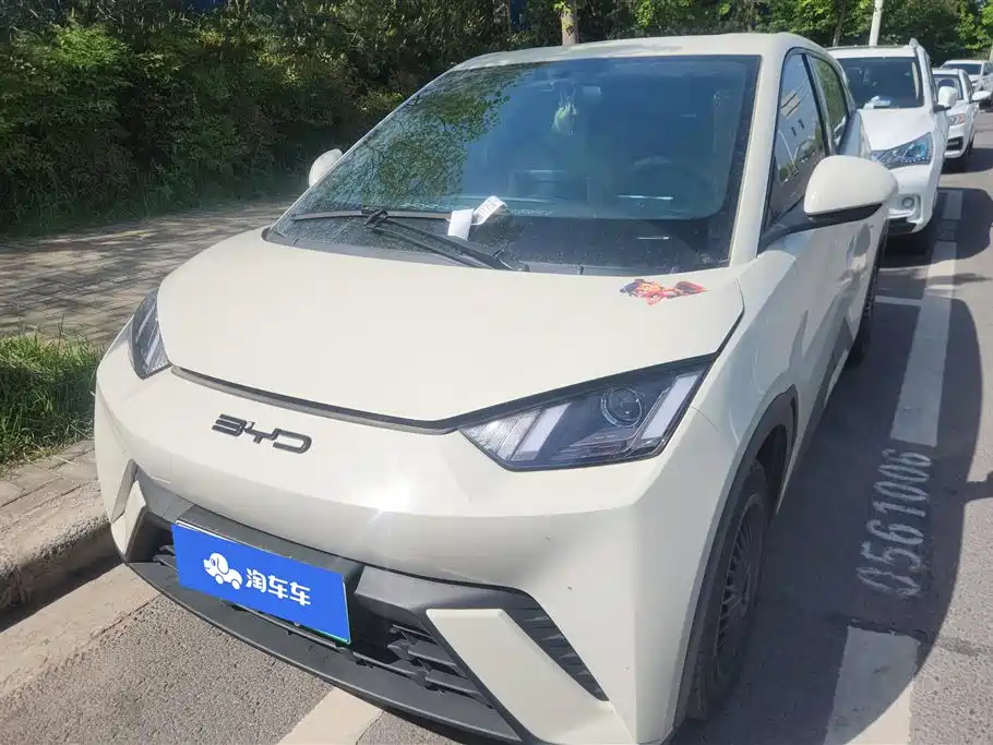 Byd Seagull 2024