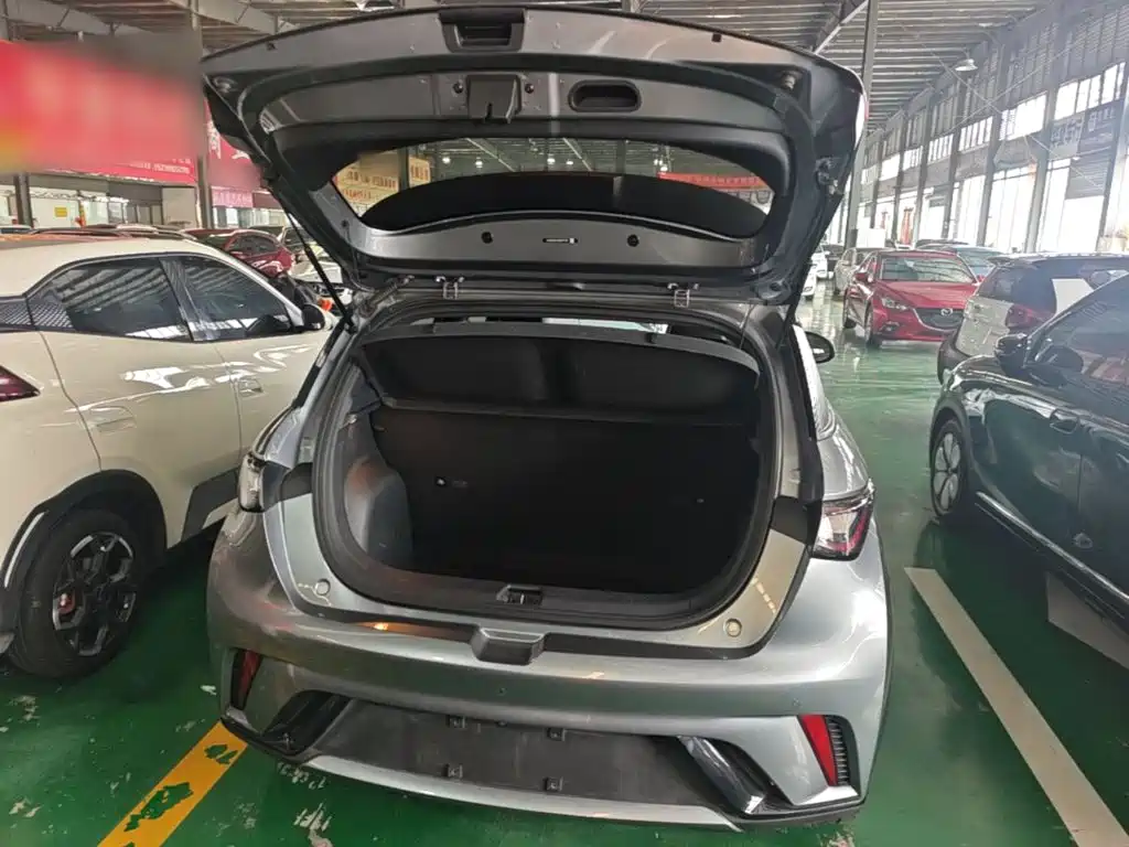 BYD Dolphin — миниатюра 19