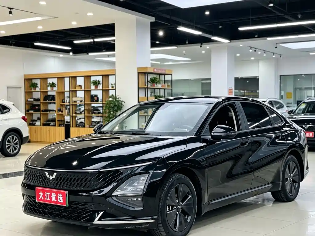 Wuling Xingguang 2024