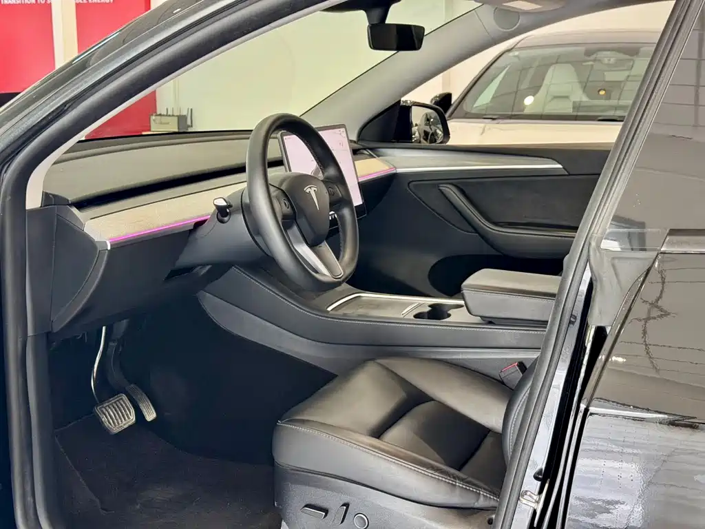 Tesla Model Y — миниатюра 4