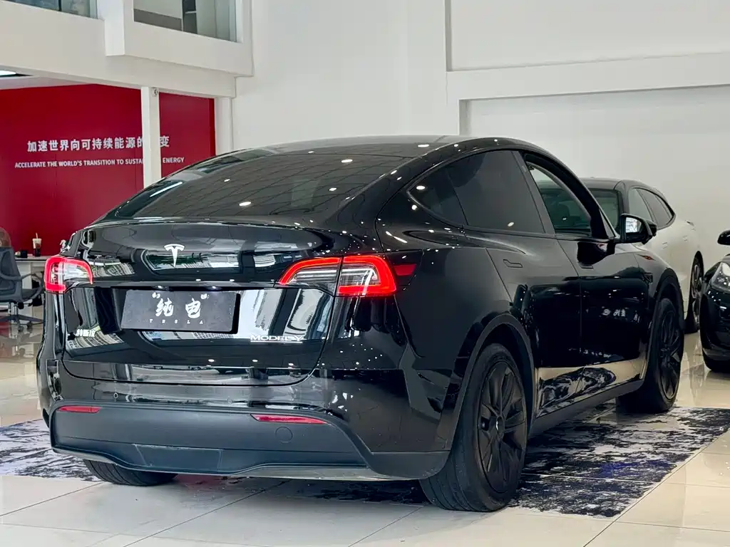 Tesla Model Y — миниатюра 15