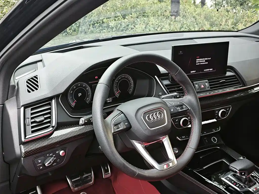 Audi SQ5 — миниатюра 12
