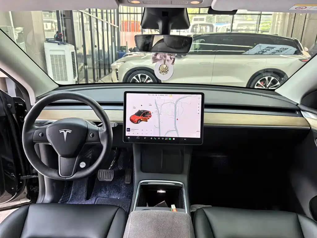 Tesla Model Y — миниатюра 16