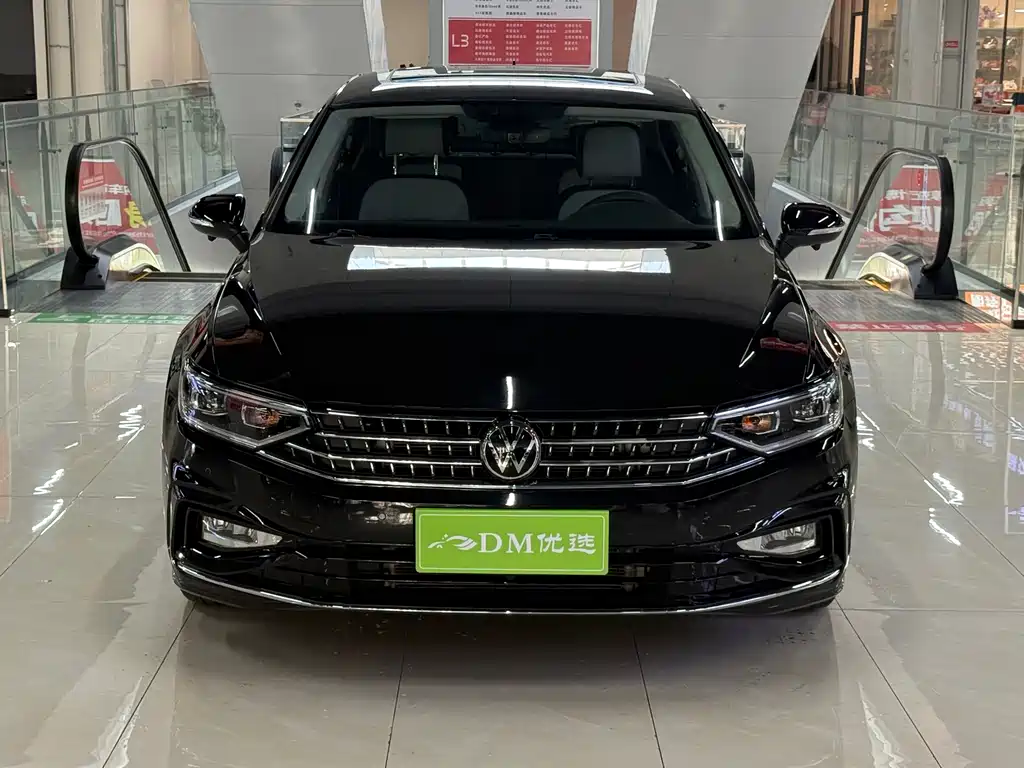 Volkswagen Magotan — миниатюра 2