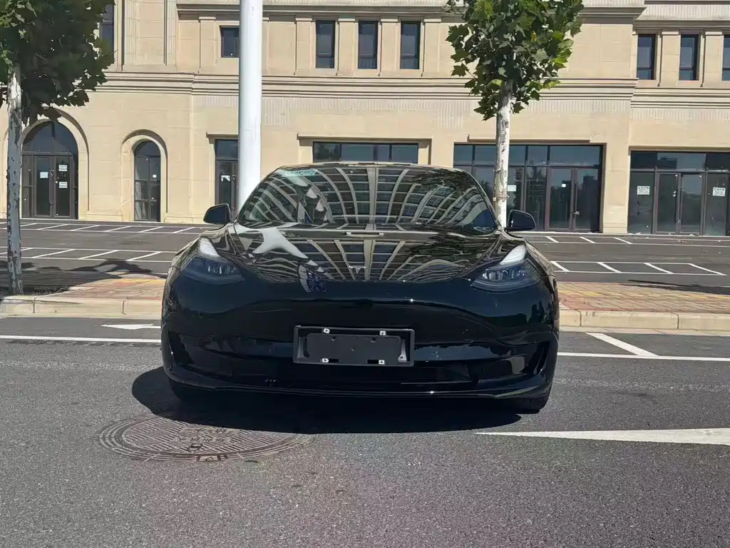 Tesla Model 3 — миниатюра 2