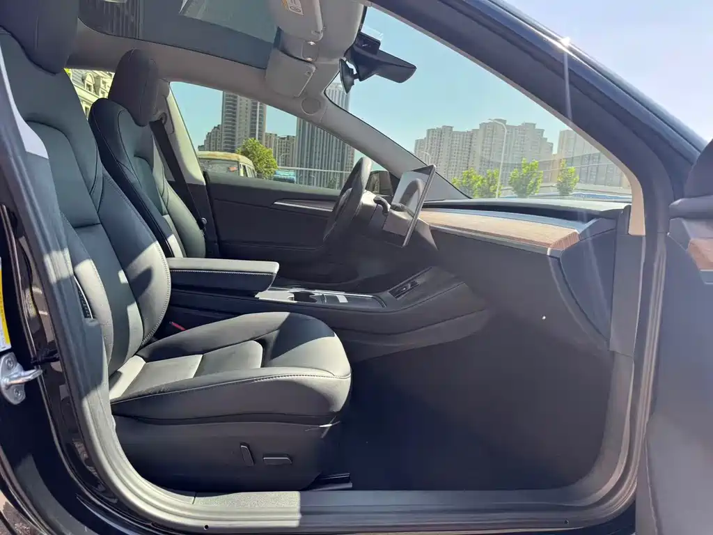 Tesla Model 3 — миниатюра 8