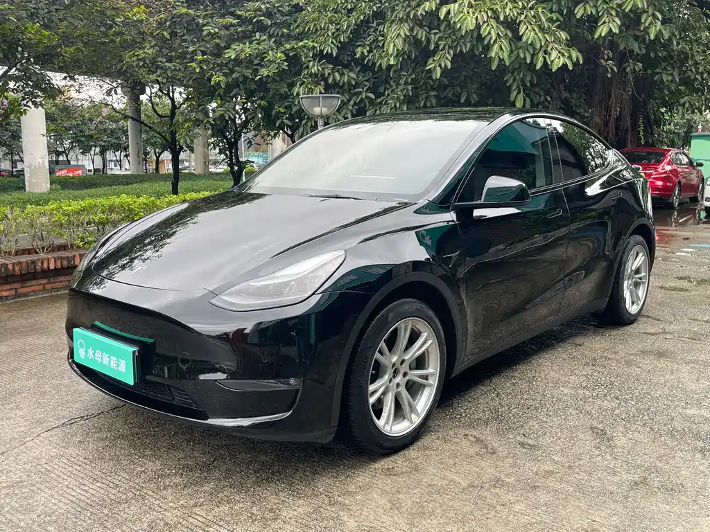 Tesla Model Y 2021
