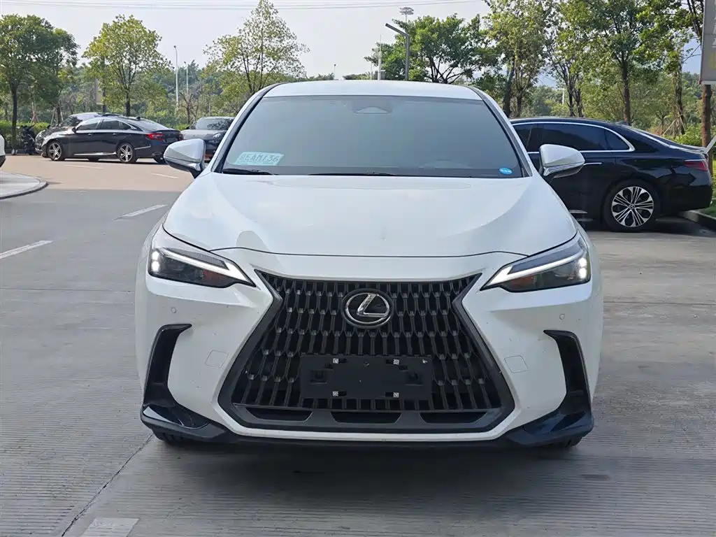 Lexus NX — миниатюра 2