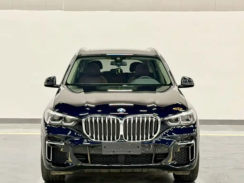 BMW X5 — миниатюра 2