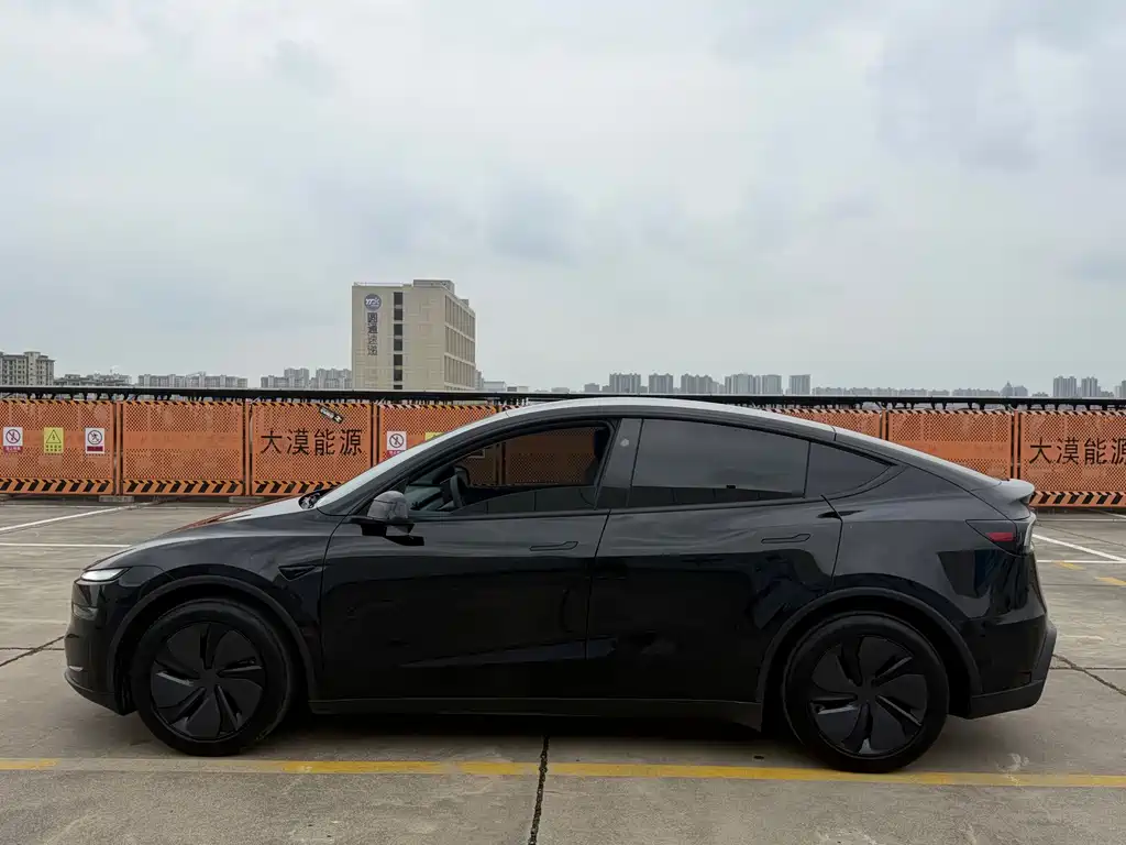 Tesla Model Y — миниатюра 9