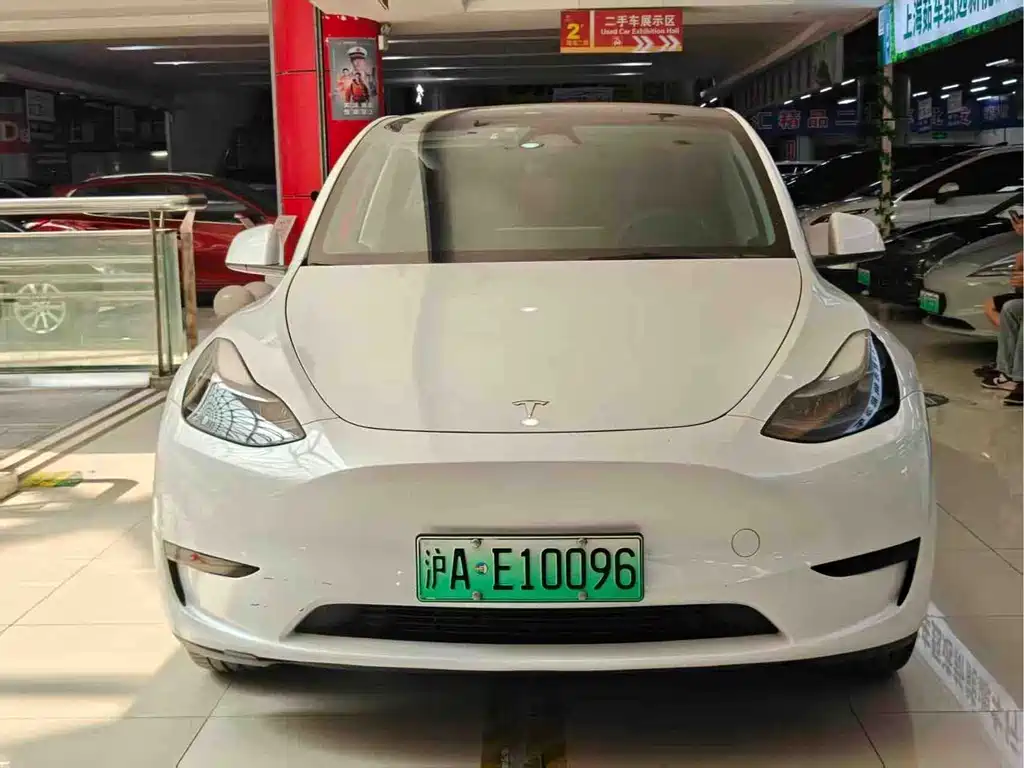 Tesla Model Y — миниатюра 2