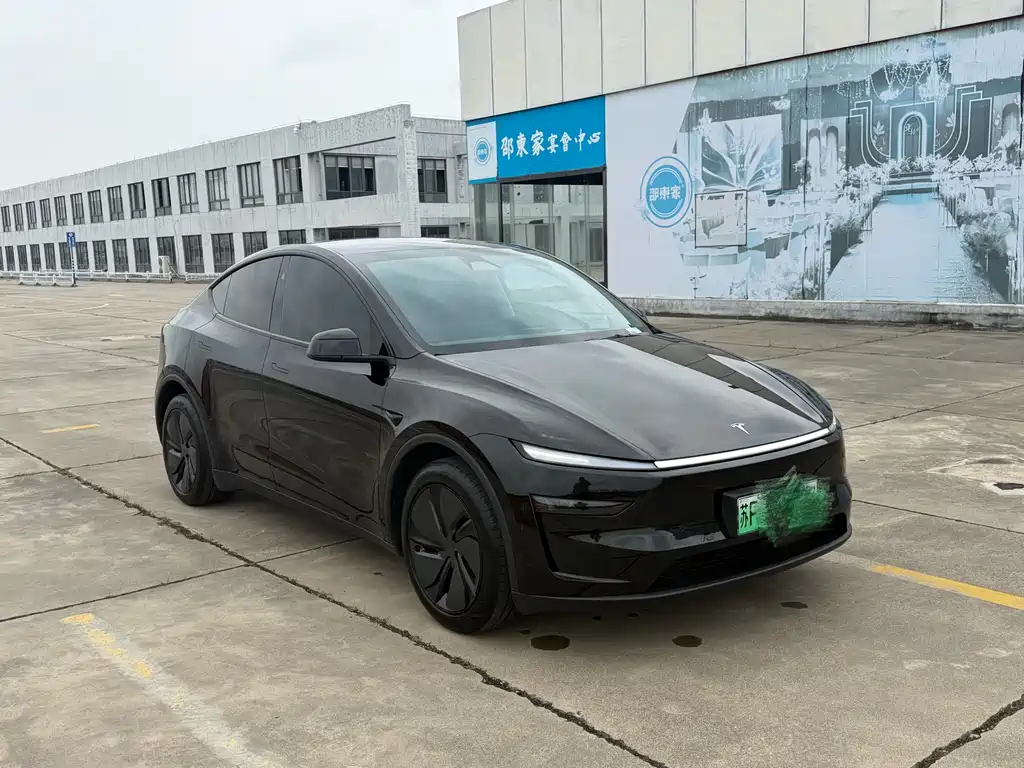 Tesla Model Y — миниатюра 3