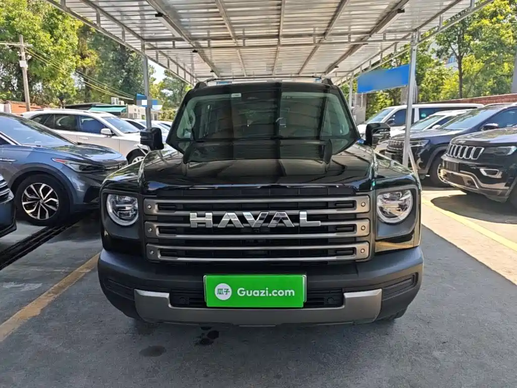 Haval Menglong New Energy — миниатюра 3