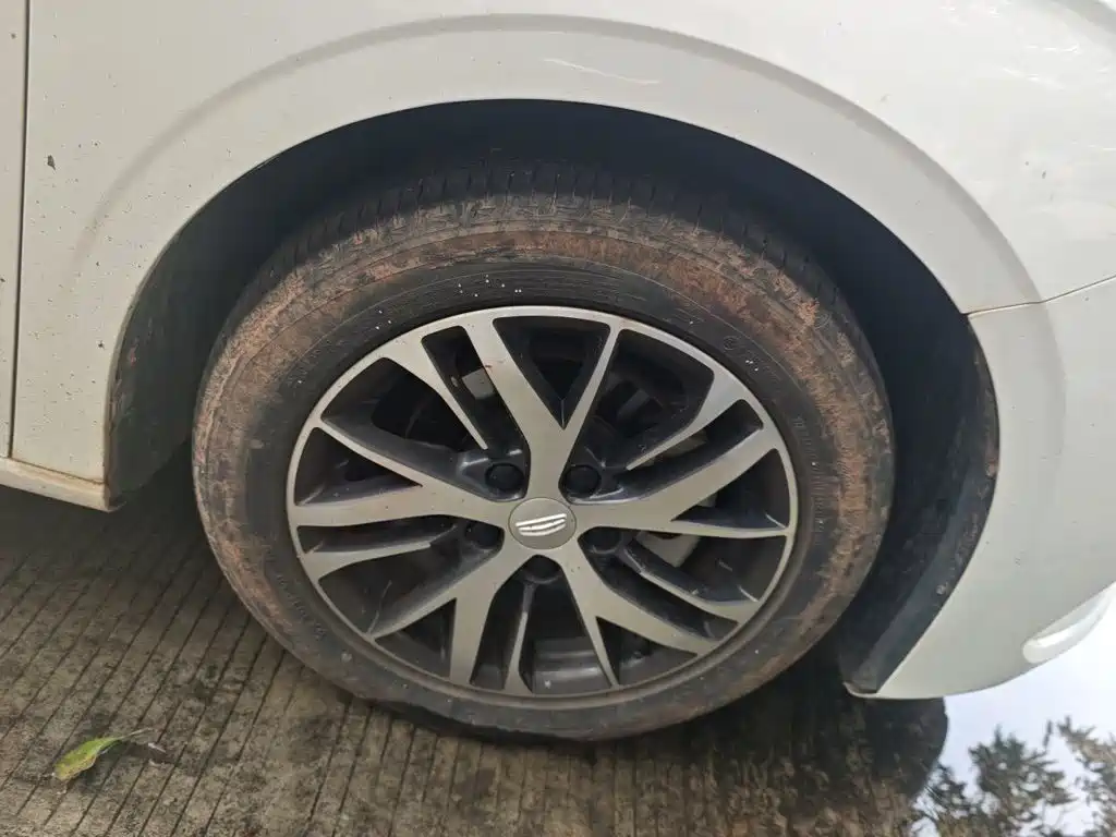 Geely Emgrand — миниатюра 24