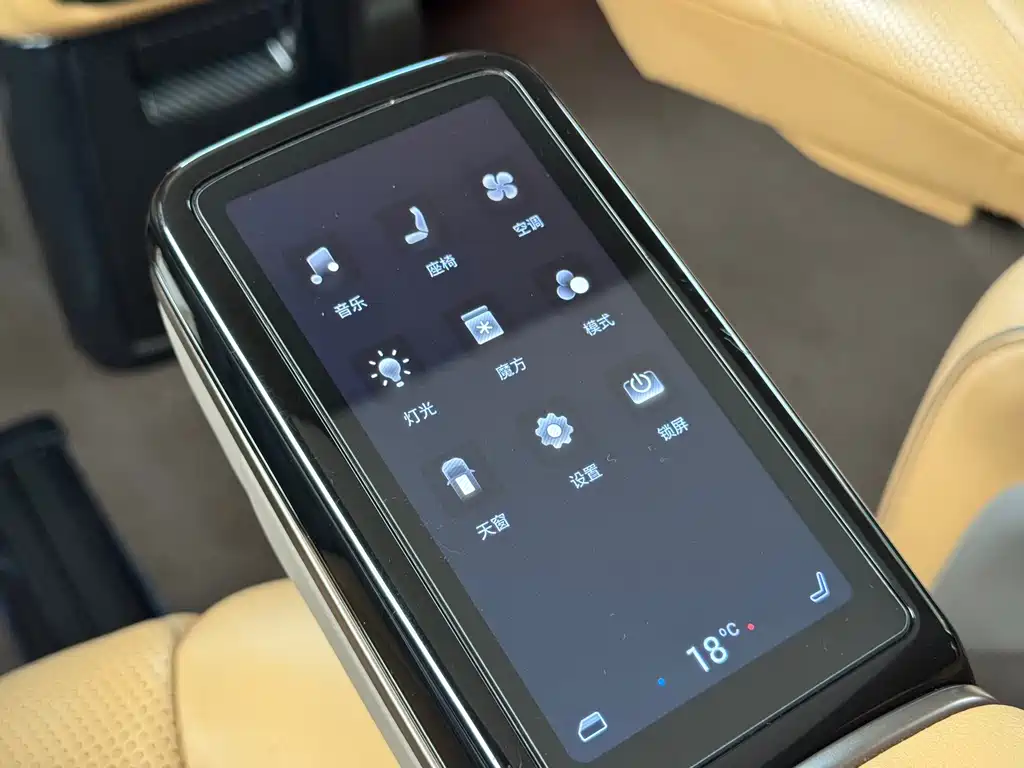 Denza Denza D9 — миниатюра 8