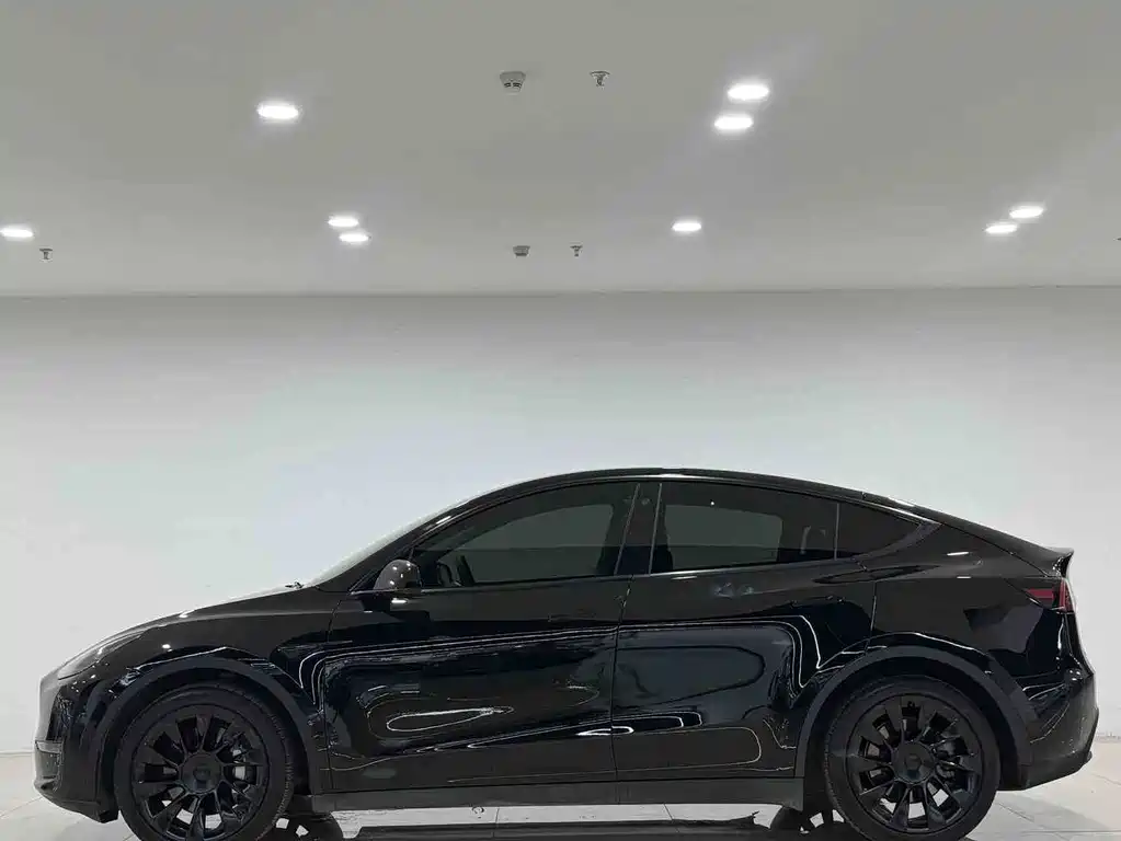 Tesla Model Y — миниатюра 3