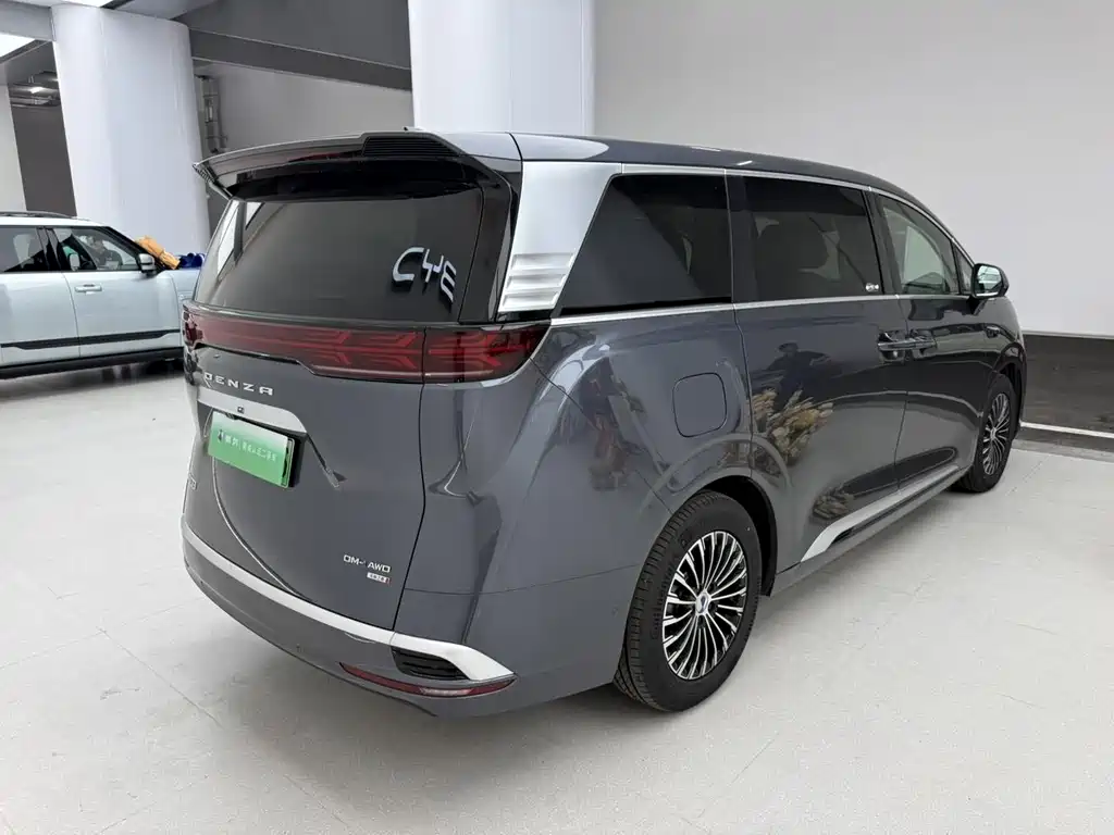 Denza Denza D9 — миниатюра 12